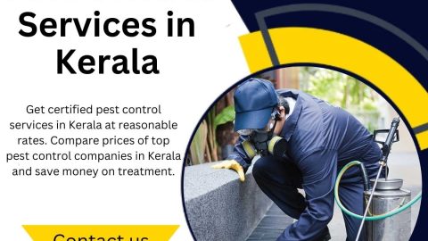 Best Pest Control Services in Kerala at Reasonable Rates