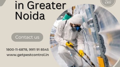 Pest Control Services in Greater Noida